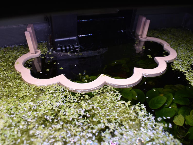 Puede incluir: Un corral flotante para plantas de acuario en forma de nube de color rosa claro, con bordes festoneados y dos postes de soporte verticales, colocado en la superficie del agua para contener plantas acu&aacute;ticas cerca de un filtro negro.