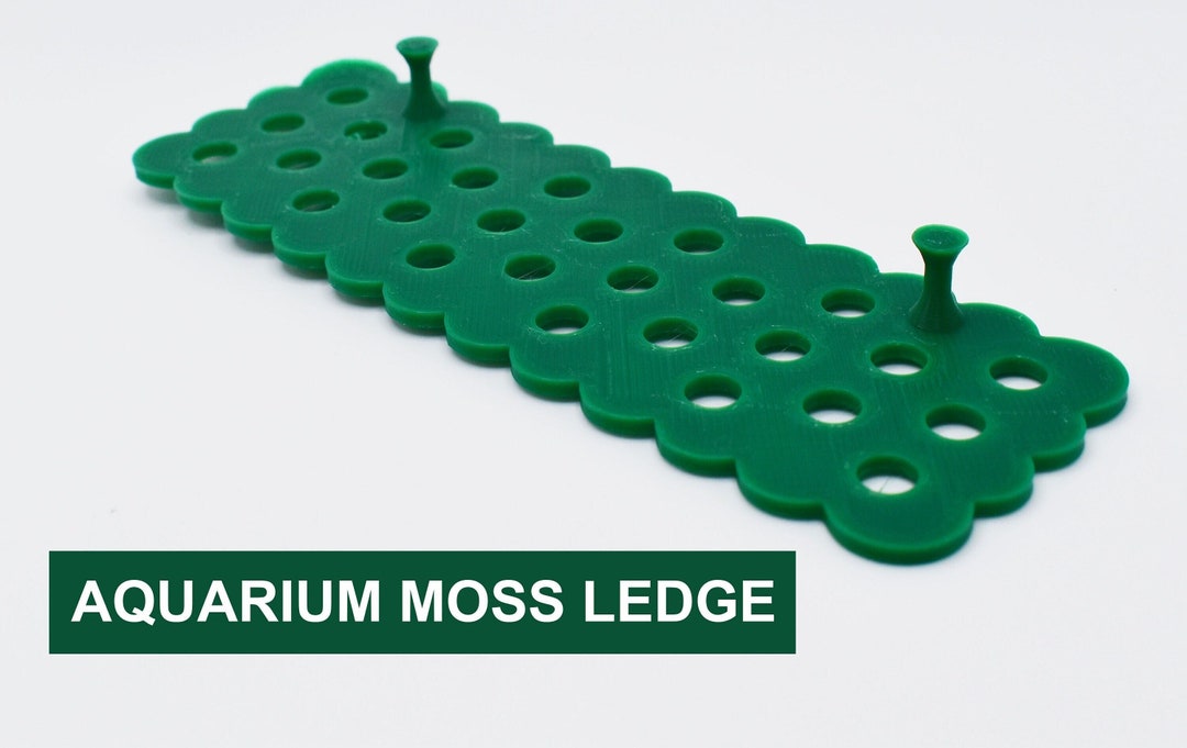 Aquarium Moss Ledge Holder, Compatible With All Types of Mosses