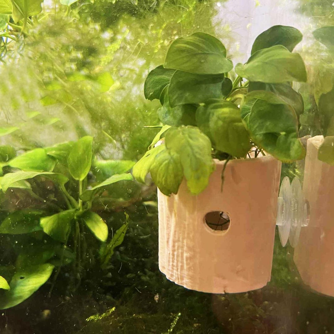 Gallery Detail: Wooden Style Plant Pot For Aquarium Fish Tank Aquarium Plant
