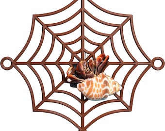 Hermit Crab Spider-Web Climbing Platform. Hermit Crab Climbing Spider Web. Fun Toy For Natural Habitat Mimics. Durable & Sturdy Design.