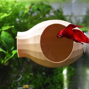 Può includere: Un pesce betta rosso nuota vicino a una grotta di ceramica beige. La grotta ha la forma di un vaso arrotondato con una grande apertura.