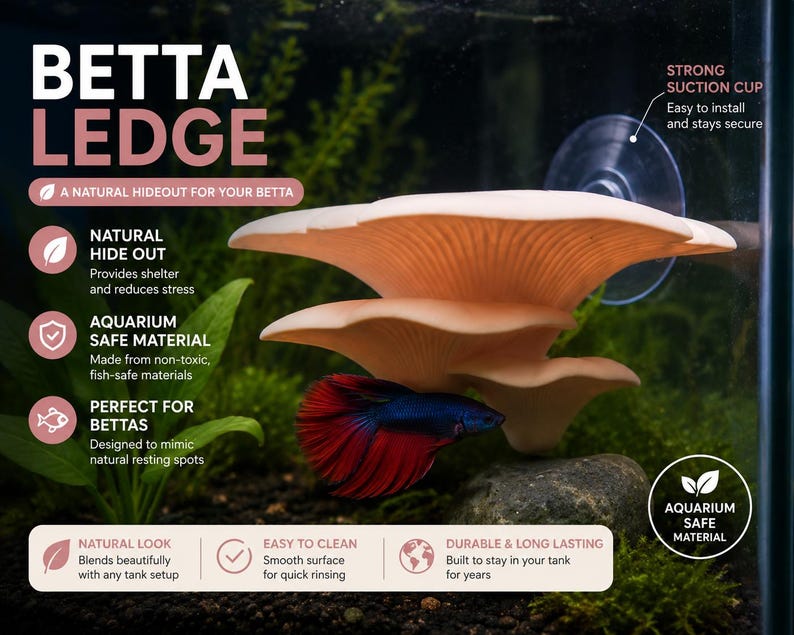 Puede incluir: Una repisa para betta en forma de hongo beige con una ventosa para fijaci&oacute;n en acuario. El texto dice BETTA LEDGE, A NATURAL HIDEOUT FOR YOUR BETTA, NATURAL HIDE OUT, AQUARIUM SAFE MATERIAL, PERFECT FOR BETTAS, NATURAL LOOK, EASY TO CLEAN, DURABLE & LONG LASTING.