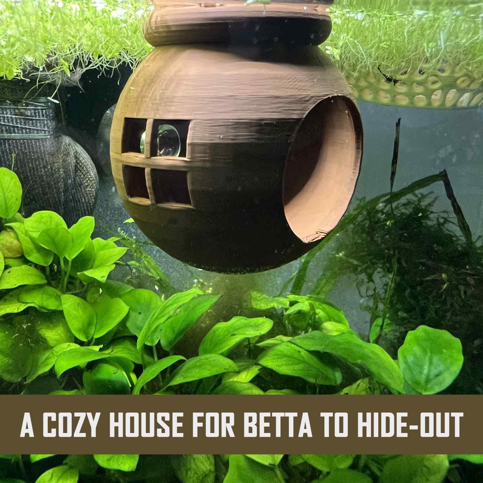 Betta Cave - Zuignap 3D Gedrukt Nep Rotsen Grot
