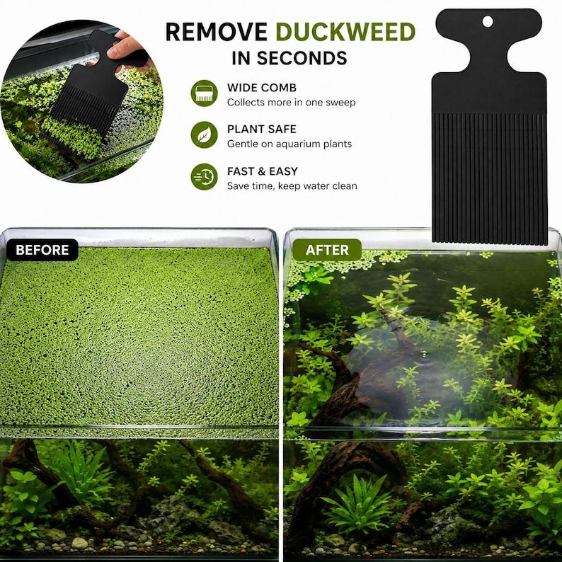 May include: A black aquarium duckweed remover tool with a wide comb design. The image shows a before and after comparison of an aquarium, illustrating the tool's effectiveness in removing duckweed. The text reads "Remove Duckweed in Seconds."