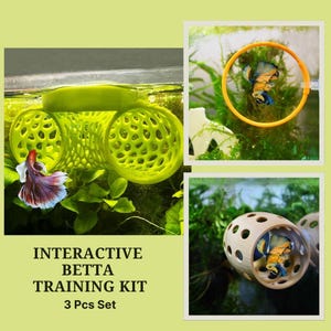 Interaktives Betta Trainingskit für Anfänger. 3D gedrucktes Trainingsset für Betta Fisch. Verwandeln Sie Ihren Betta in einen Champion. Perfekte Geschenkidee.