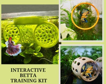 Interactive Betta Training Kit For Beginner. 3D Printed Training Set For Betta Fish. Turn Your Betta into a Champion. Perfect Gift Idea.