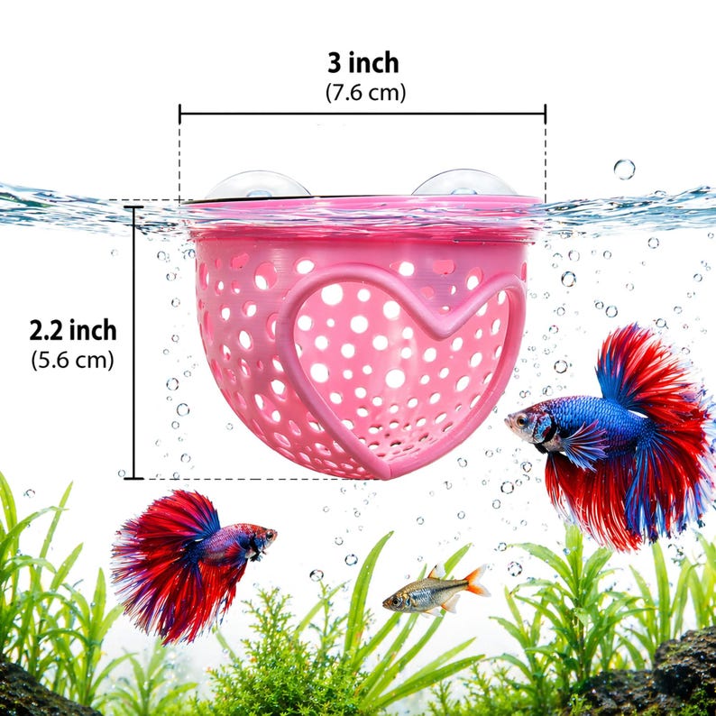May include: A pink, heart-shaped betta fish breeding box, 3 inches wide (7.6 cm) and 2.2 inches tall (5.6 cm), floats in an aquarium. The box has a perforated design and two suction cups. Two colorful betta fish and a small fish swim near the box.