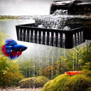 Könnte beinhalten: Ein farbenfroher Kampffisch mit blauen und roten Flossen schwimmt in der Nähe eines schwarzen Aquarienfilters. Der Filter befindet sich über dem Wasser und erzeugt einen Wasserfalleffekt. Das Aquarium hat grüne Pflanzen und eine rote Garnele.