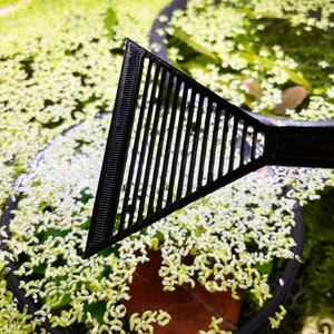 May include: Black plastic aquarium plant rake with a triangular shape and a grid pattern. The rake is being used to remove plant debris from a fish tank.