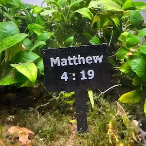 May include: A black sign with white text that reads "Matthew 4:19" is placed in a bed of green plants.