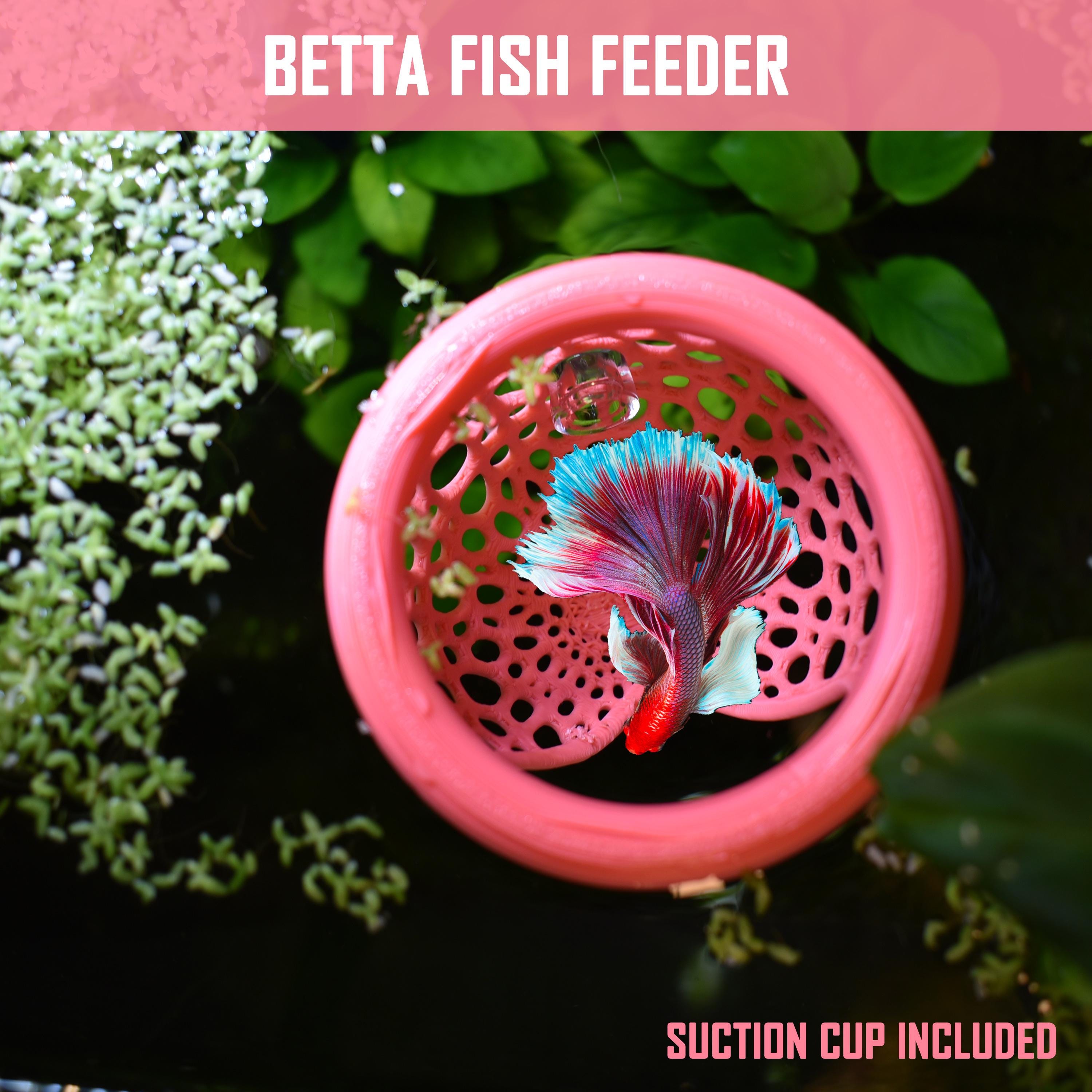Bacchetta Per Addestramento Pesci Betta – Gioco Interattivo Con Testa Pesce Colore Casuale, Legno E Resina