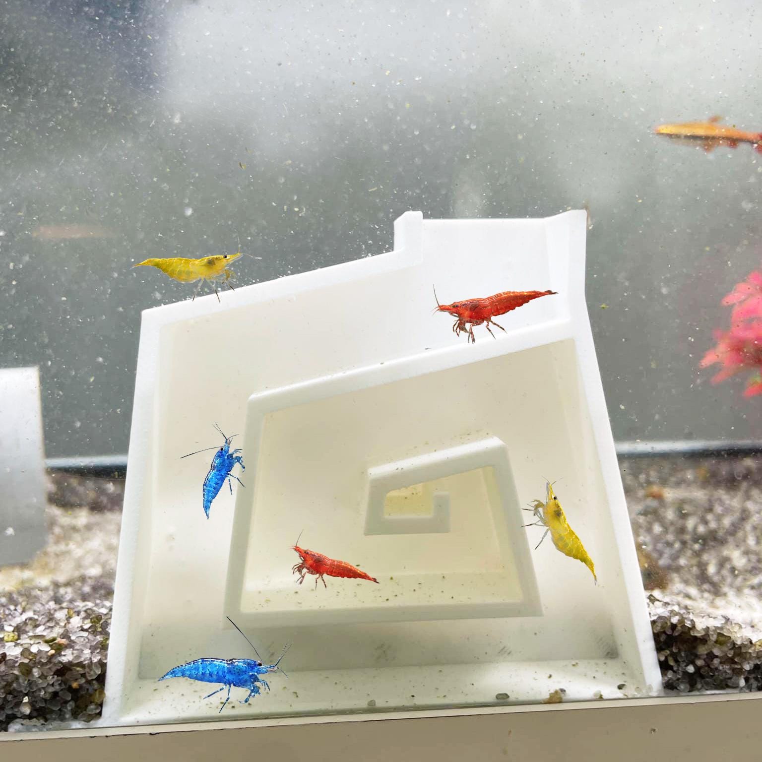 3D Garnelen Höhle Aquarium - Transparentes Versteck Für Fische & Wirbellose In Gelb