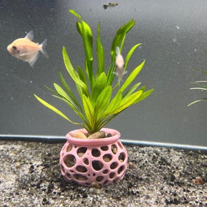 Aquarium Plant Pot Holder. Plant Holder For Aquatic Plants. Promoting Healthy Root Growth. Fish Tank Aesthetic. Fast Shipping From Canada.