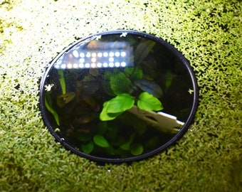 Aquarium Duckweed Floater Organizer | Fish Feeding Floater | Aquarium Fish Tank Decor | Made in Canada and Fast Shipping.