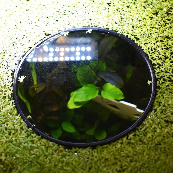 Aquarium Duckweed Floater Organizer | Fish Feeding Floater | Aquarium Fish Tank Decor | Made in Canada and Fast Shipping.