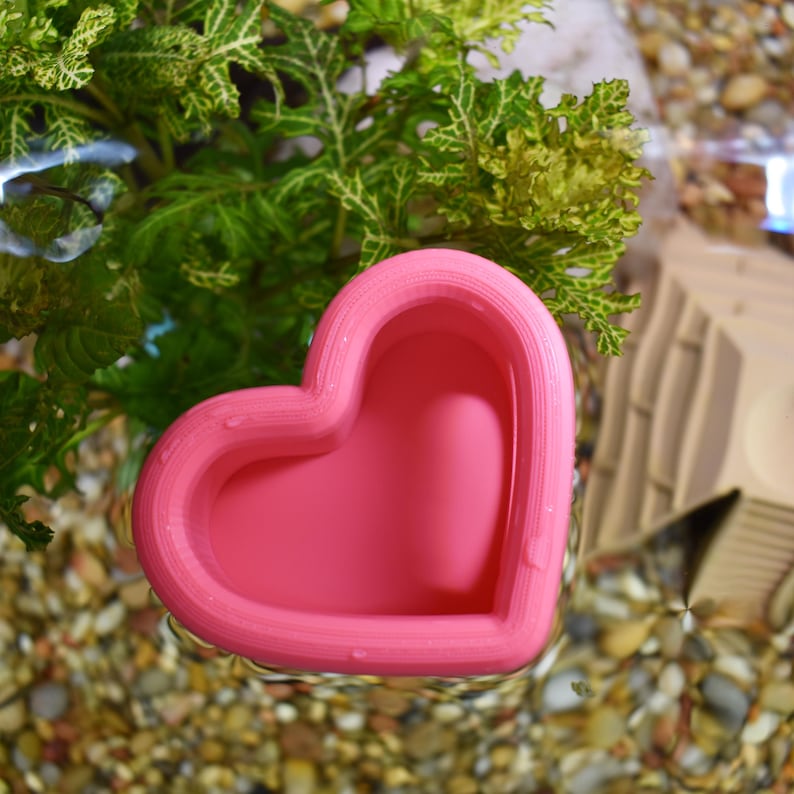 May include: A pink heart-shaped object floats in water, surrounded by small pebbles and green plants. The object has a smooth, rounded design and appears to be a decorative or functional item, possibly for an aquarium or terrarium.