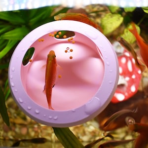 Drijvende aquariumbetta-visvoederbak. Drijvende voerbak voor kleine vissen en garnalen. Controlestation voor voerdosering. Vermijd voedselverspilling. Perfecte maat.