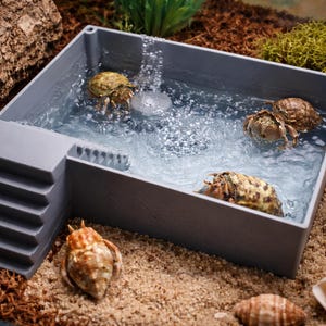 Puede incluir: Un hábitat de plástico gris con una pequeña piscina de agua, una cascada y escalones. Varios cangrejos ermitaños están en la piscina y en la arena. Conchas marinas y trozos de madera están esparcidos alrededor del hábitat.