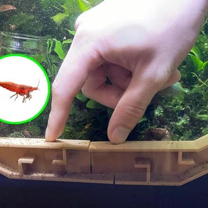 Könnte beinhalten: Nahaufnahme einer beigefarbenen Plastik-Garnelenbarriere für ein Aquarium. Die Barriere ist so konzipiert, dass Garnelen nicht aus dem Aquarium entkommen können. Eine Hand drückt auf die Barriere.