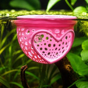 May include: A pink, perforated aquarium filter with a heart-shaped cutout. The filter is partially submerged in water, surrounded by green aquatic plants. The filter's design includes numerous small holes for water flow.