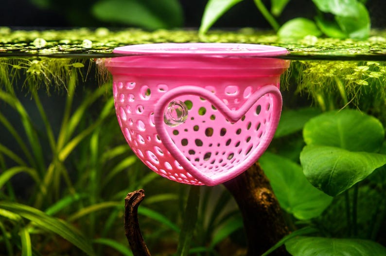 May include: A pink, perforated aquarium filter with a heart-shaped cutout. The filter is partially submerged in water, surrounded by green aquatic plants. The filter's design includes numerous small holes for water flow.