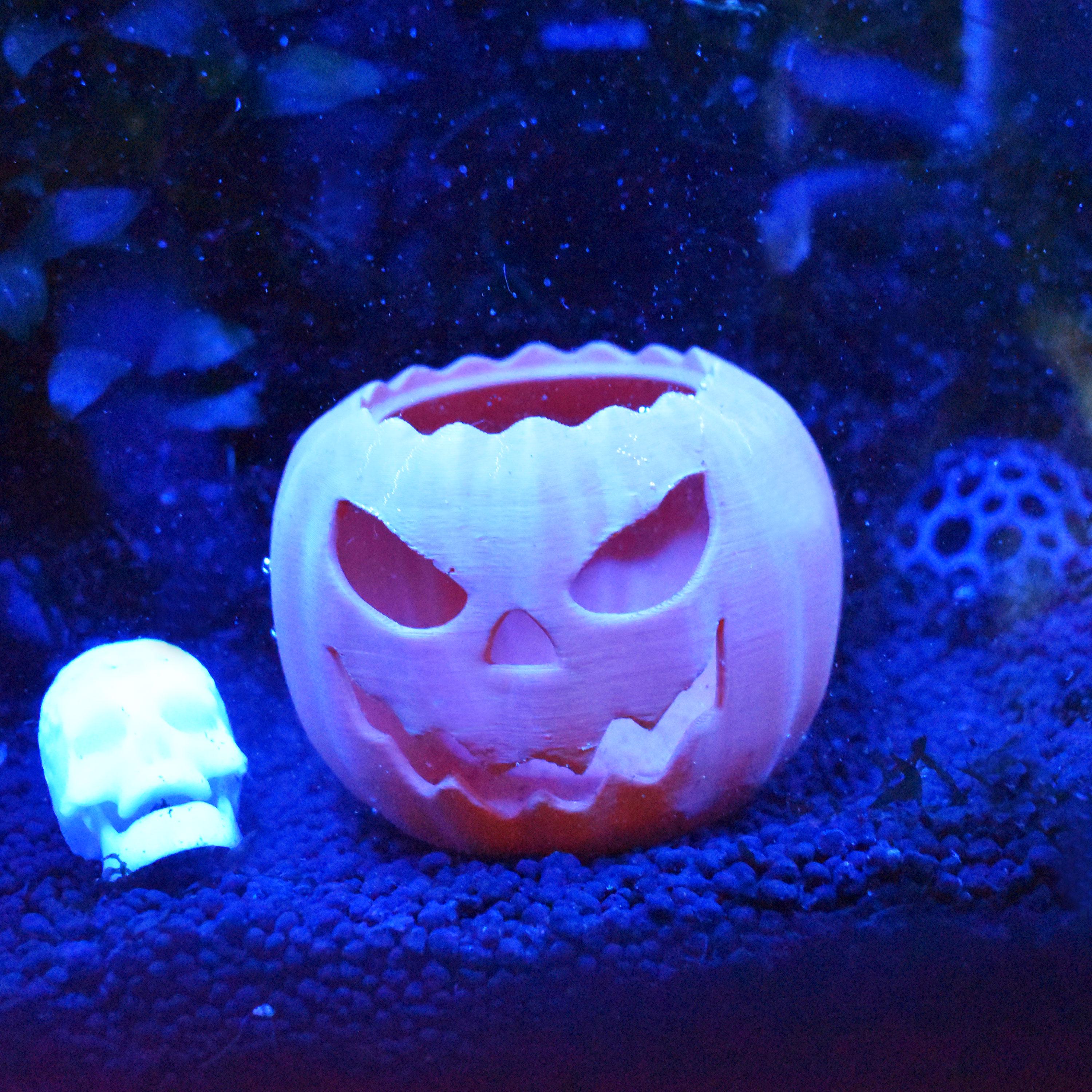 Halloween Pumpkin for Aquarium Fish Tank. 3D Printed Pumpkin