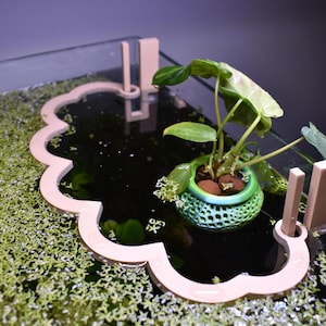 Puede incluir: Un separador de acuario flotante de color beige con forma de nube y borde festoneado, que cuenta con dos pesta&ntilde;as de montaje verticales. Incluye una peque&ntilde;a maceta verde con patr&oacute;n de celos&iacute;a y una planta verde de hojas anchas con arcilla.