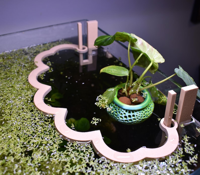 Puede incluir: Un separador de acuario flotante de color beige con forma de nube y borde festoneado, que cuenta con dos pesta&ntilde;as de montaje verticales. Incluye una peque&ntilde;a maceta verde con patr&oacute;n de celos&iacute;a y una planta verde de hojas anchas con arcilla.