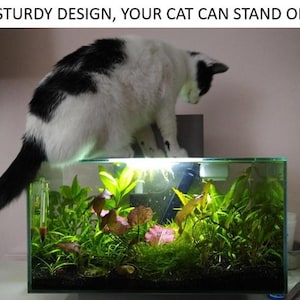 May include: A domestic cat, black and white, perched on a glass aquarium. The aquarium contains green aquatic plants and a light. The text above reads "STURDY DESIGN, YOUR CAT CAN STAND ON".
