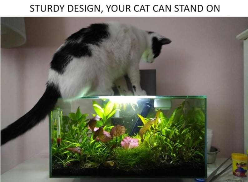 May include: A domestic cat, black and white, perched on a glass aquarium. The aquarium contains green aquatic plants and a light. The text above reads "STURDY DESIGN, YOUR CAT CAN STAND ON".