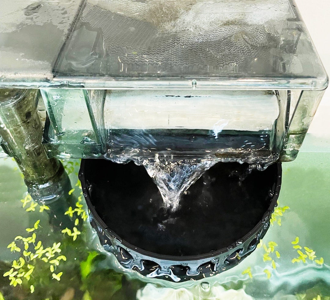 Aquarium Filter Baffle for ALL HOB Filter Systems. Universal Calm Output Filter. Ideals for Betta Fish and Shrimp. Perfect for All Tank. Etsy Canada