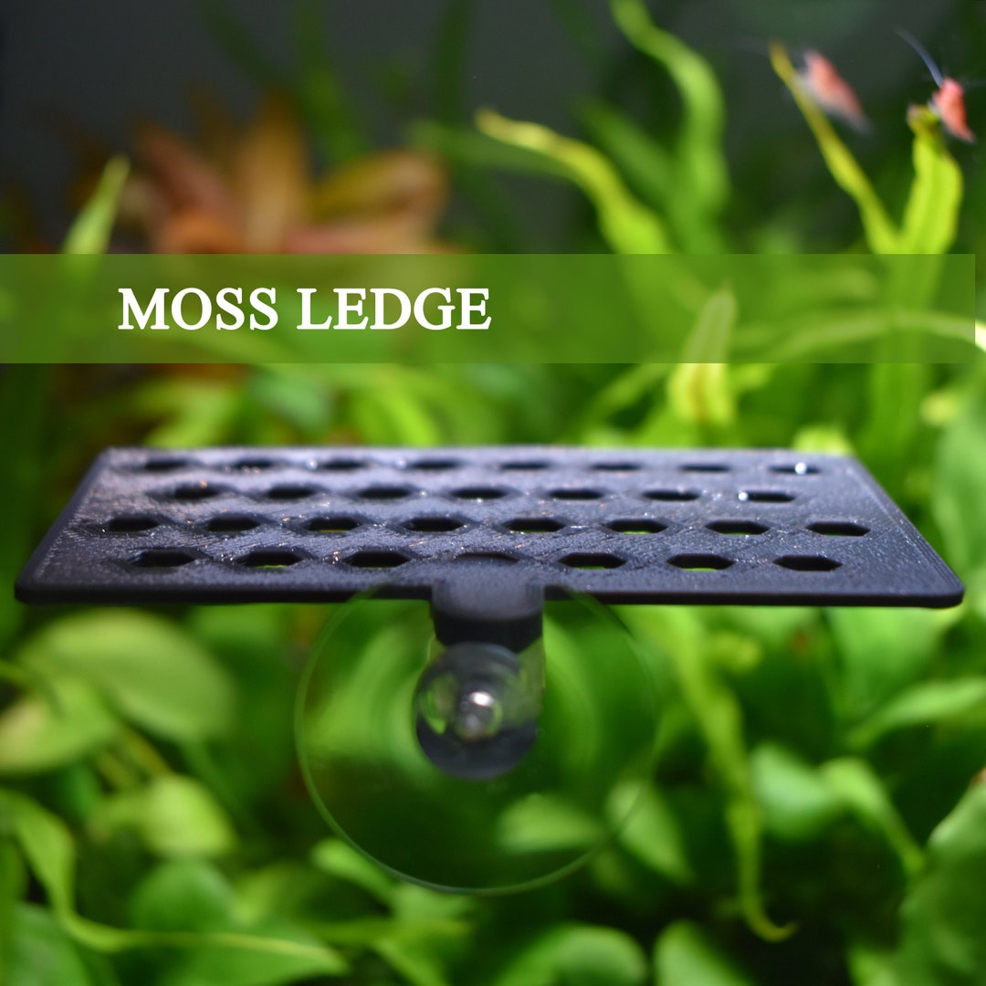 Aquarium Moss Ledge Holder, Compatible With All Types of Mosses