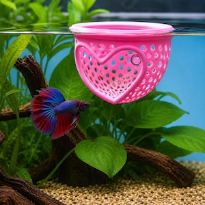 May include: A vibrant pink heart-shaped fish breeding basket floats in an aquarium. The basket has numerous small holes and a circular opening. A colorful Betta fish with blue and red fins swims nearby, surrounded by green plants and a brown branch.