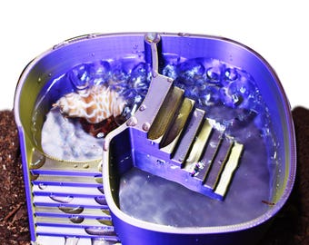 Unique Hermit Crab Swimming Pool. Soaking Bathtub For Hermit Crab. Dual-Zone Pool For Fresh & Salt Water with Built-in Climbing Ramp.