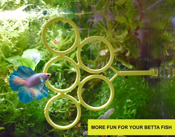 Betta Vis Speelgoed - 2-delige interactieve oefenring - aquarium