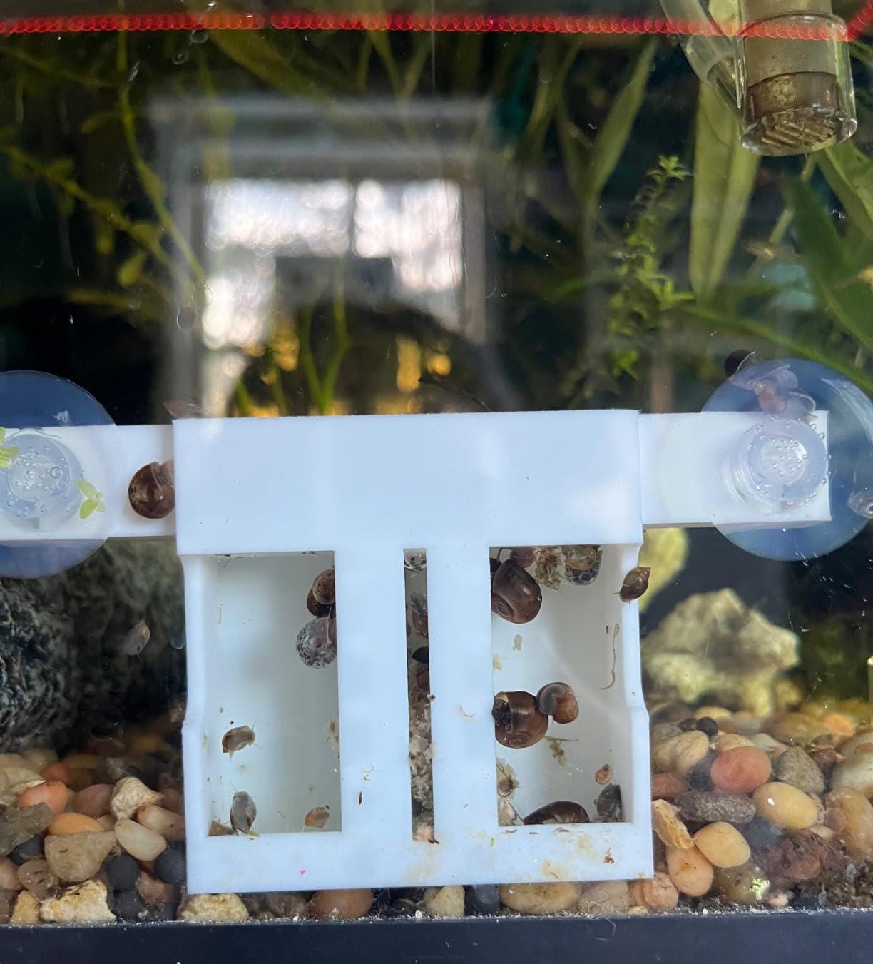 WEAVERBIRD Aquarium slakkenval Snail Trap helder kunststof lokaas voor aquarium planten Planarian Leech Pest Catch milieu aquarium natuurreiniger