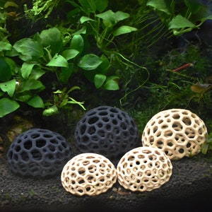 Aquarium Shrimp Dome Decor. Shrimp Home Hide Out, Moss Holder, Aquarium Dome, Shelter for Shrimps to Hide, Aquarium Safe Plastic.