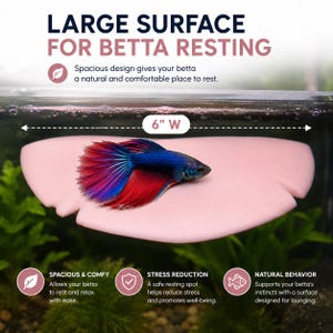 Puede incluir: Una plataforma de descanso para peces betta en forma de hoja de color rosa claro, con un ancho de 6 pulgadas. El texto dice LARGE SURFACE FOR BETTA RESTING, SPACIOUS & COMFY, STRESS REDUCTION y NATURAL BEHAVIOR. Un pez betta azul y rojo descansa sobre ella.
