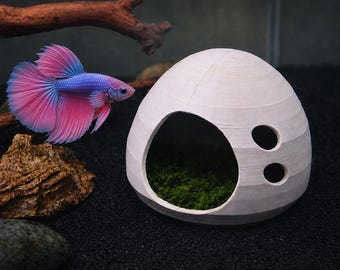 Natural Betta Resting Pod. Betta Resting Ledge/Hide Out. Aquarium Betta Hammock For Relax & Explore. Natural Optional Moss Attachable.