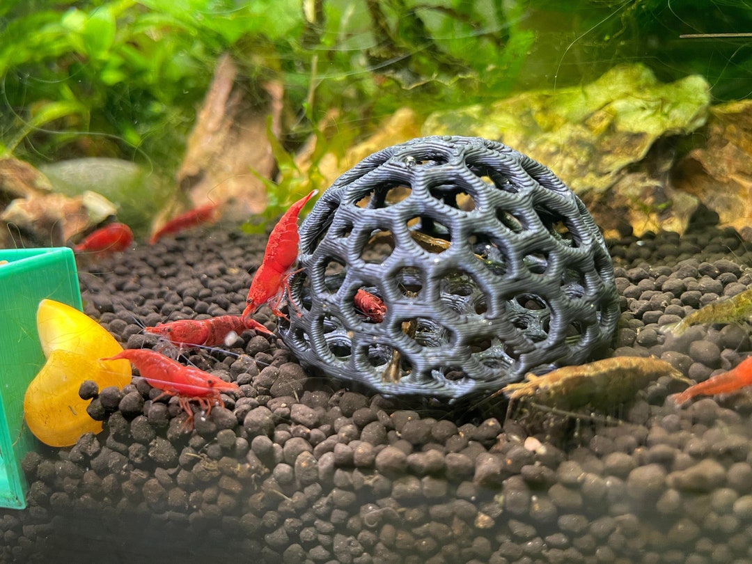 Aquarium Shrimp Dome Decor. Shrimp Home Hide Out Moss Holder Etsy