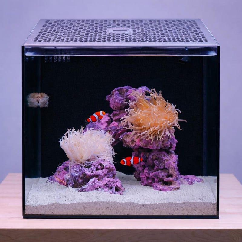 Custom Reef Tank Lid - Etsy