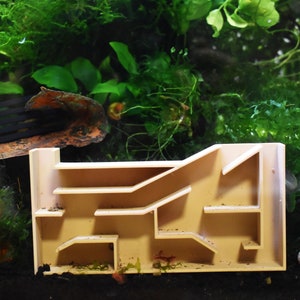 Aquarium Shrimp Maze with Multiple Rooms. 3D-Printed Shrimp Puzzle. Complete with an Exquisite VIP Room, Fast Shipping from Canada.