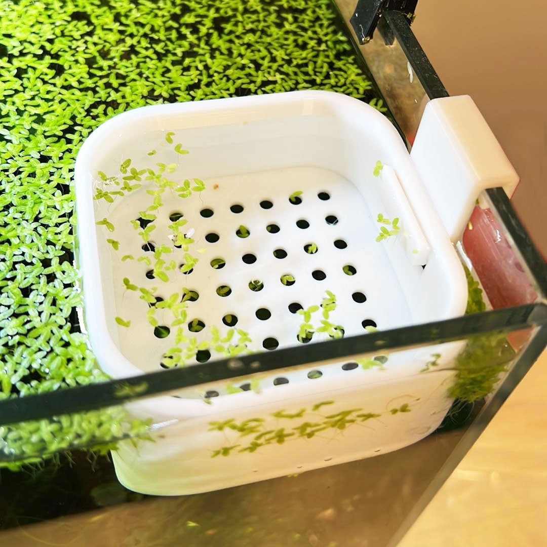 Aquarium Stable Water Change Diffuser. Water Change Diffuser for Fish Tank. Aquarium Safe