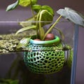 Aquarium Plant Pot Holder with Suction Cup. Lightweight Plant Holder For Aquatic Plants. Promoting Healthy Root Growth. Fish Tank Aesthetic. product logo