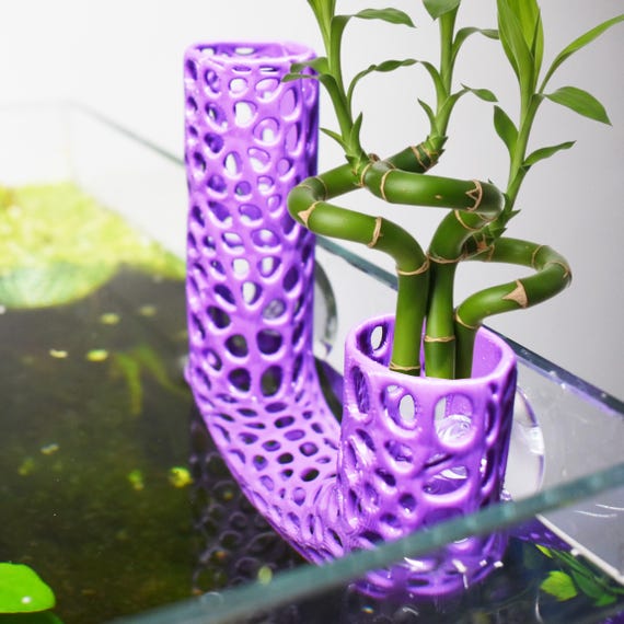 Aquarium Plant Holder. Aquatic Plant Pot for Lucky Bamboo, Pothos. Unique  Designed Holder for Aquatic Plants. Promoting Healthy Root Growth. - Etsy
