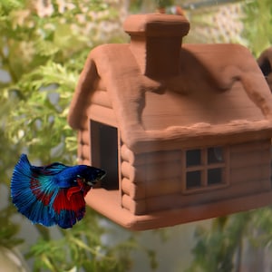 Op de afbeelding: Een levendige blauwe, rode en zwarte Betta-vis zwemt in de buurt van een klein, terracotta-kleurig keramisch huis met een schoorsteen en raam. Het huis is ontworpen voor een aquarium.