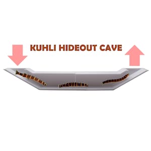 3D Printed Kuhli Cave Tunnel. Extended Underground Tunnel For Kuhli Loach Lover. Corner Tunnel For Kuhli Loach. Fast Shipping from Canada.