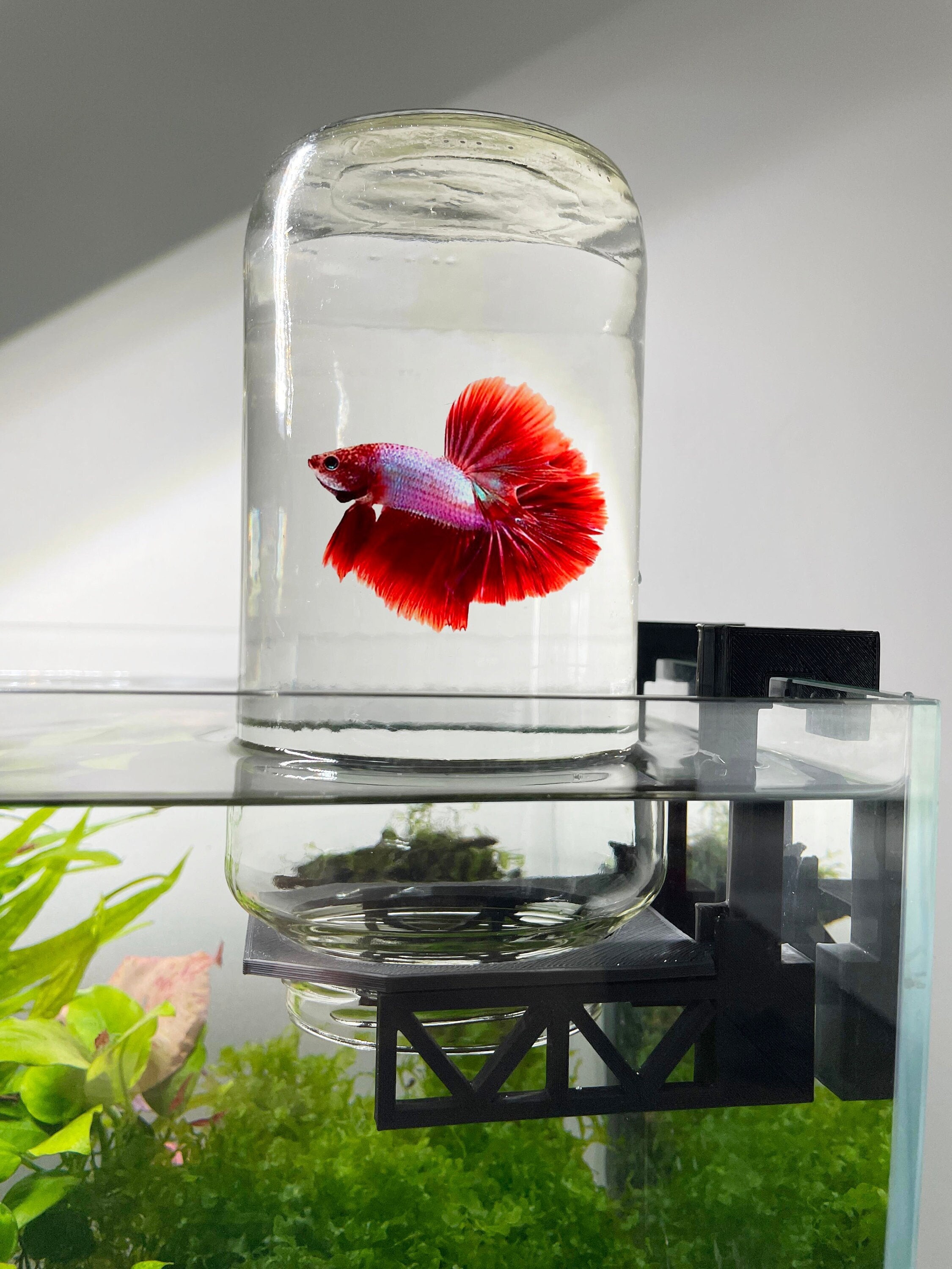 NEW Glass Betta Fish Tank Bamboo Base Mini Aquarium Fish Tank For Desktop  Wood