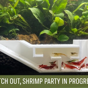 Shrimp Party Tunnel, 3D-Printed Shrimp Tunnel Redefining Underwater Elegance, Complete with an Exquisite VIP Room, Fast Shipping from Canada