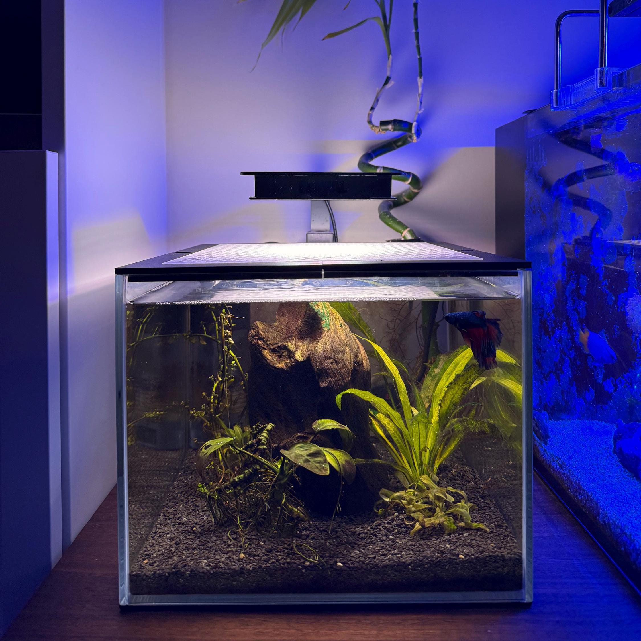Custom Nano Fish Tank Lid Full-service Design & 3D Printing. Unique Designed Lids Perfect Fit for Fish Tank. Customized Just for You. - Etsy Custom Nano Fish Tank Lid Full-service Design & 3D Printing. Unique Designed Lids Perfect Fit for Fish Tank. Customized Just for You. - Etsy